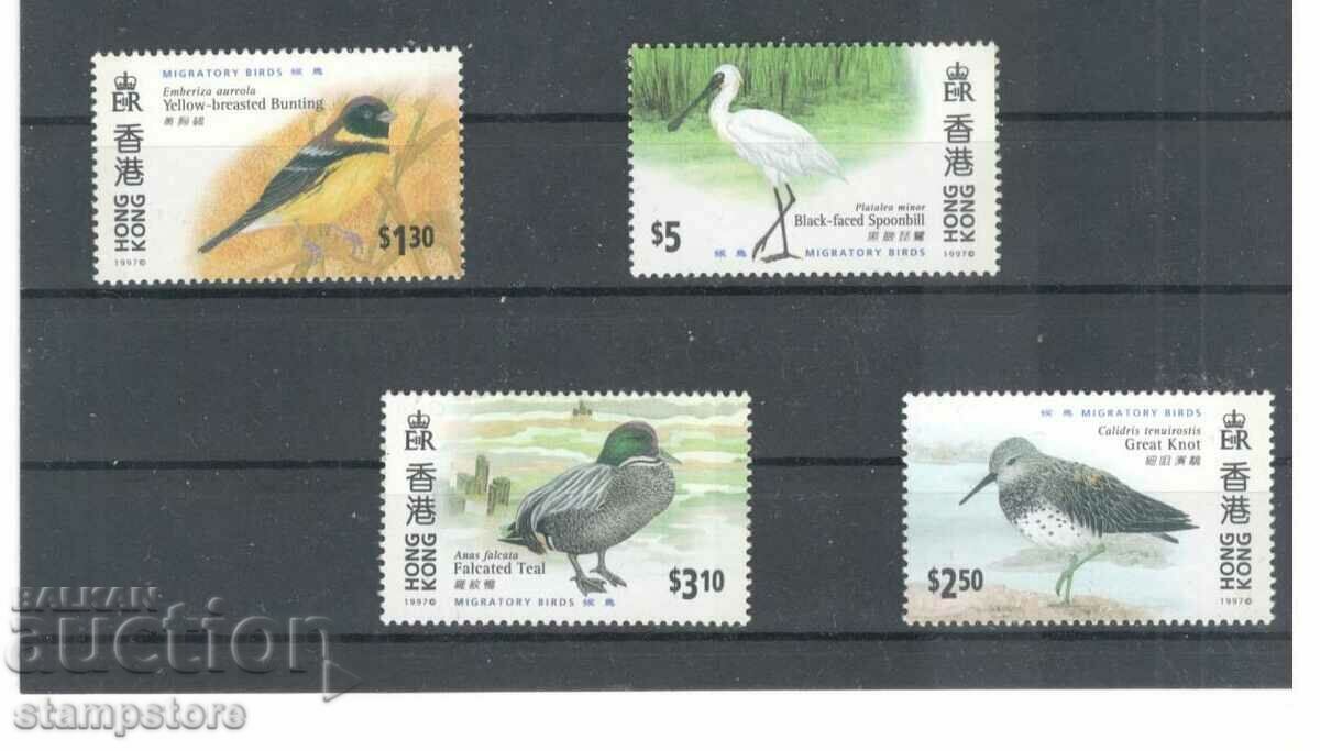Птици Хонг Конг 1997 г