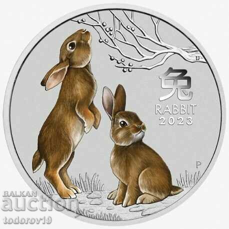 Silver Lunar Year of the Rabbit 2023 1 oz Tinted