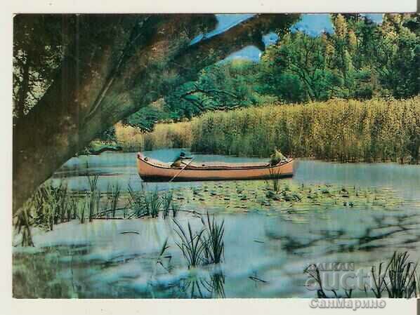 Κάρτα Bulgaria Kamchia River 13*