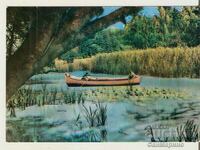 Card Bulgaria Kamchia River 13*