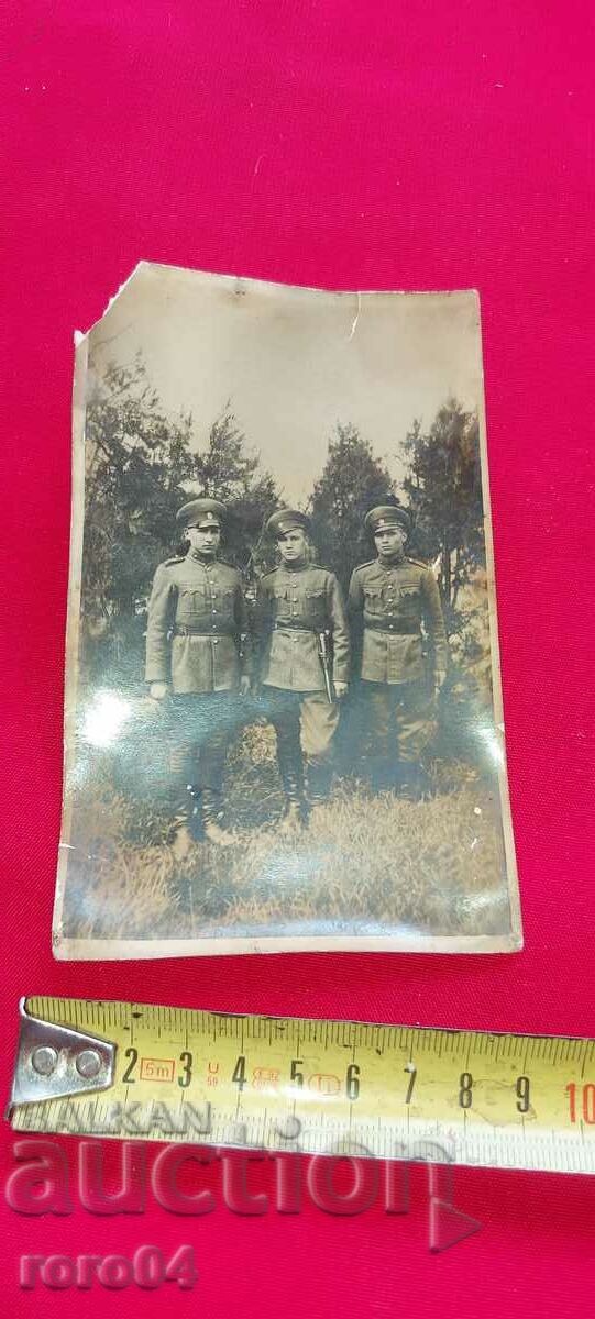 Auction SOFIA - THE BORIS GARDEN - STICKS - 1933 Auction SOFIA - THE BORIS GARDEN - STICKS - 1933