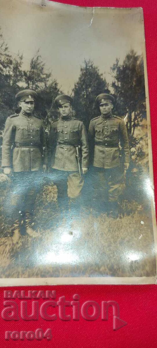 SOFIA - THE BORIS GARDEN - STICKS - 1933 - 7 SOFIA - THE BORIS GARDEN - STICKS - 1933 - 7