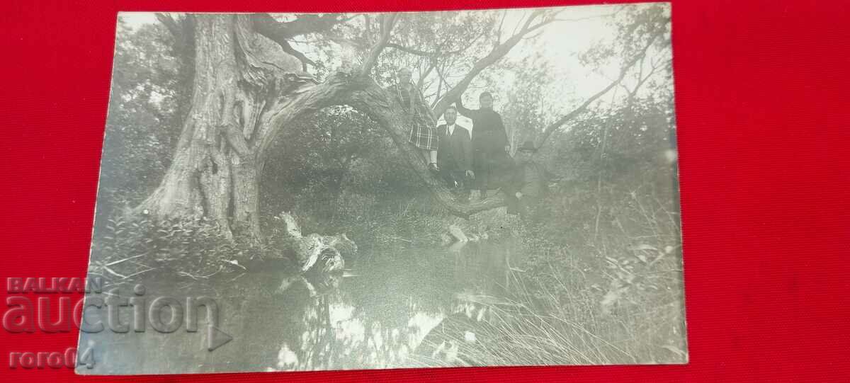 ΛΕΒΗΤΑ - 1926 με τιμή 18.00 BGN | € 9.20 ΛΕΒΗΤΑ - 1926 με τιμή 18.00 BGN | € 9.20