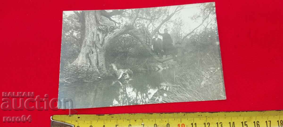 Δημοπρασία ΛΕΒΗΤΑ - 1926 Δημοπρασία ΛΕΒΗΤΑ - 1926