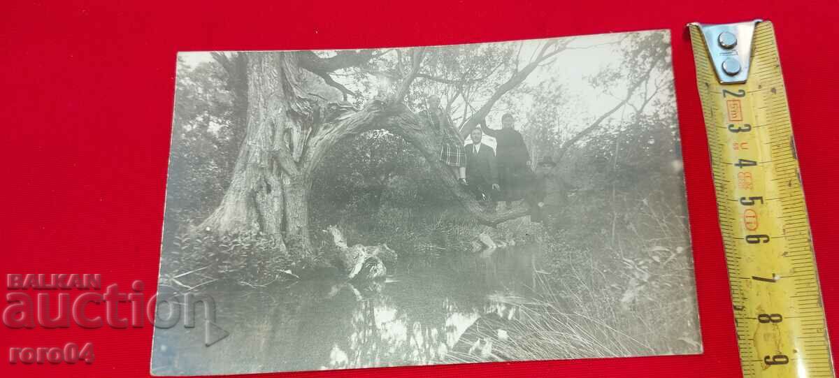 Παράδοση ΛΕΒΗΤΑ - 1926 Παράδοση ΛΕΒΗΤΑ - 1926