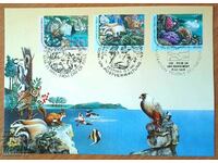 Carte poștală - Națiunile Unite - 1991