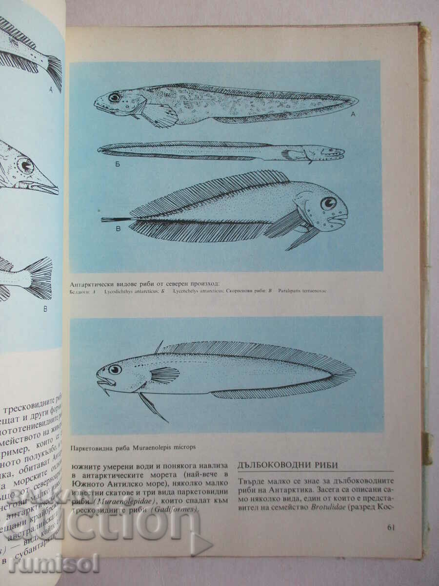 Παράδοση Ζώα της Ανταρκτικής - Klaus Odening Παράδοση Ζώα της Ανταρκτικής - Klaus Odening