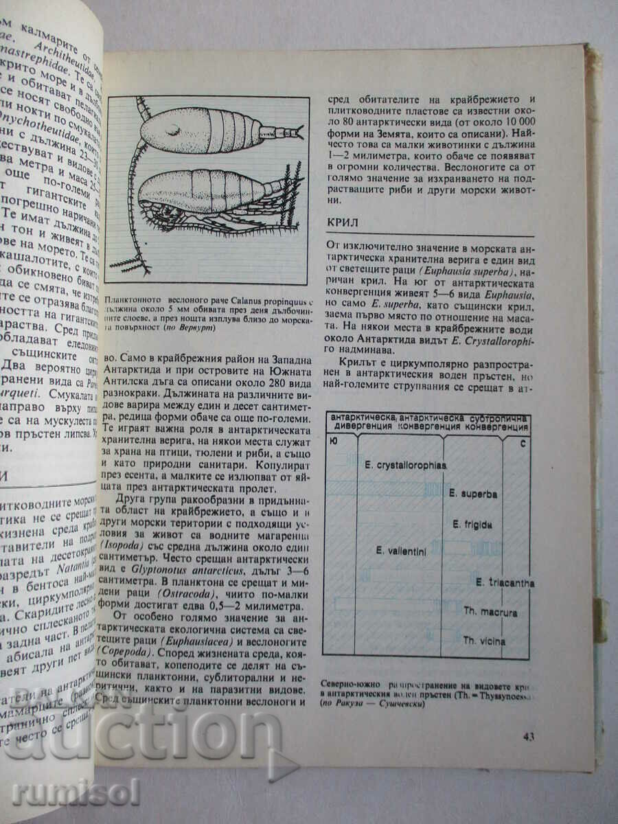 Ζώα της Ανταρκτικής - Klaus Odening - 5 Ζώα της Ανταρκτικής - Klaus Odening - 5
