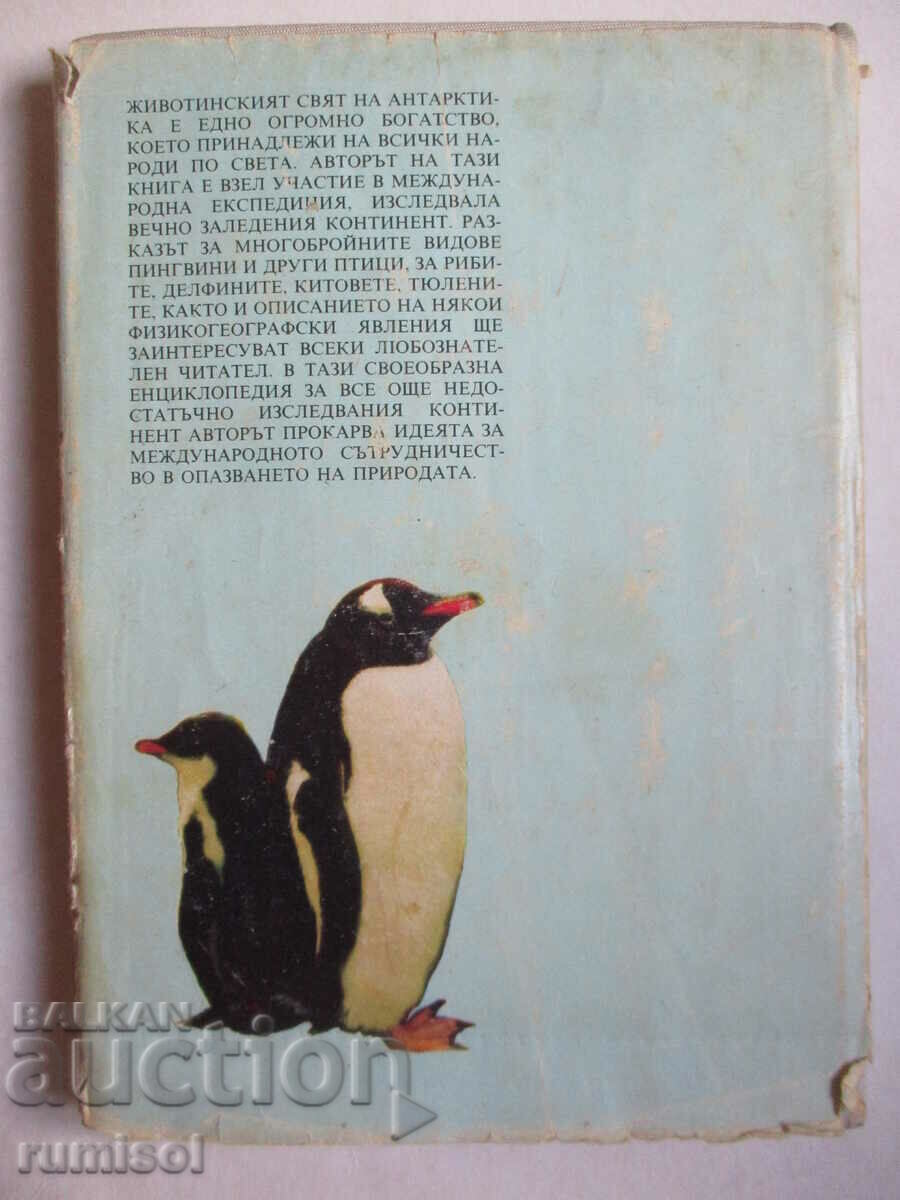Ζώα της Ανταρκτικής - Klaus Odening - 6 Ζώα της Ανταρκτικής - Klaus Odening - 6