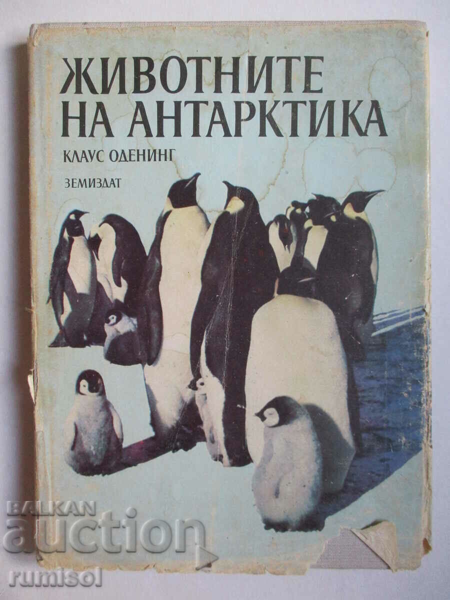 Animals of Antarctica - Klaus Odening Animals of Antarctica - Klaus Odening