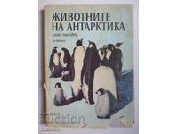 Животните на Антарктика - Клаус Оденинг