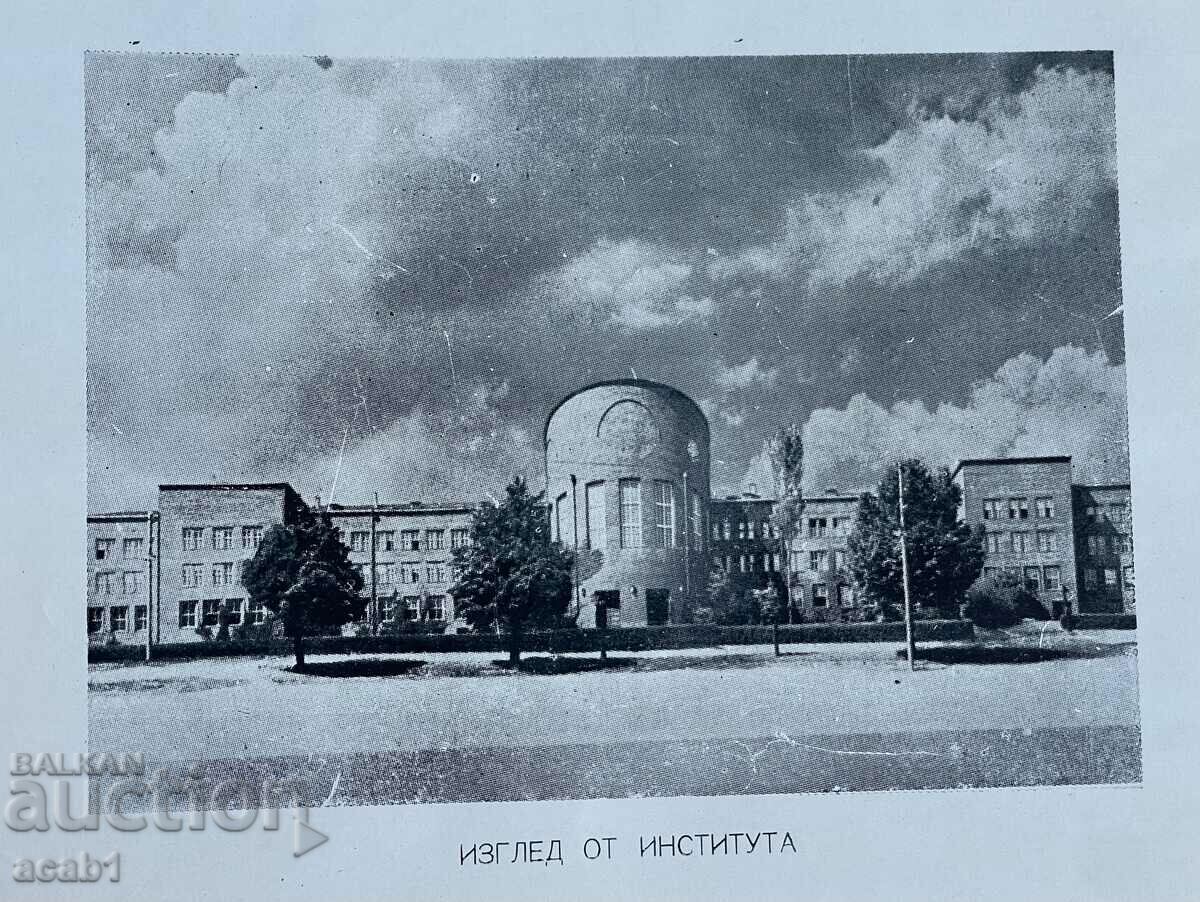 Faculty of Animal Science 12 Graduation 1962/63 with price 34.99 BGN | € 17.89 Faculty of Animal Science 12 Graduation 1962/63 with price 34.99 BGN | € 17.89