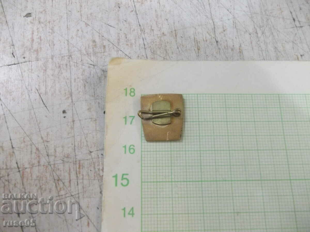 Badge "DKMS" - 2 with price 1.00 BGN | € 0.51