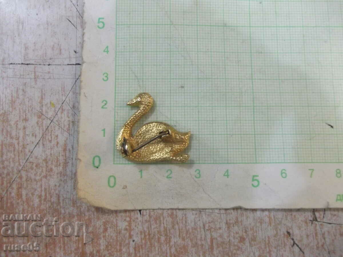 Delivery of Brooch - 7 Delivery of Brooch - 7