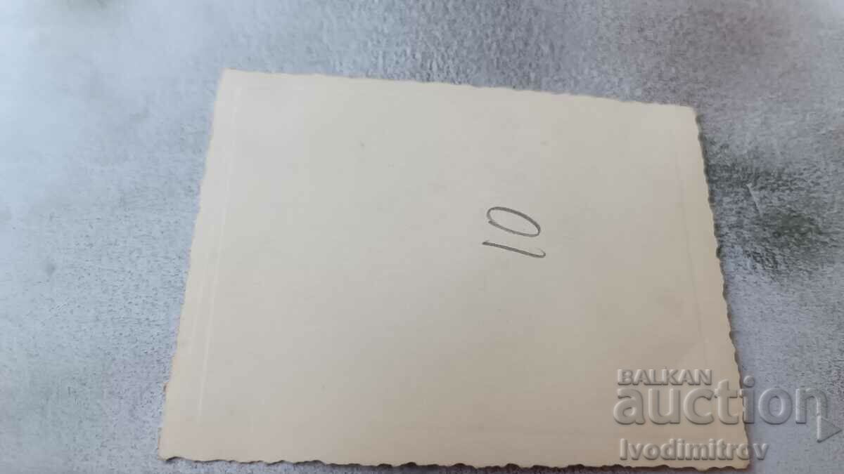 Photo Sofia Young men and women on an excursion to Vitosha with price 1.65 BGN | € 0.84 Photo Sofia Young men and women on an excursion to Vitosha with price 1.65 BGN | € 0.84