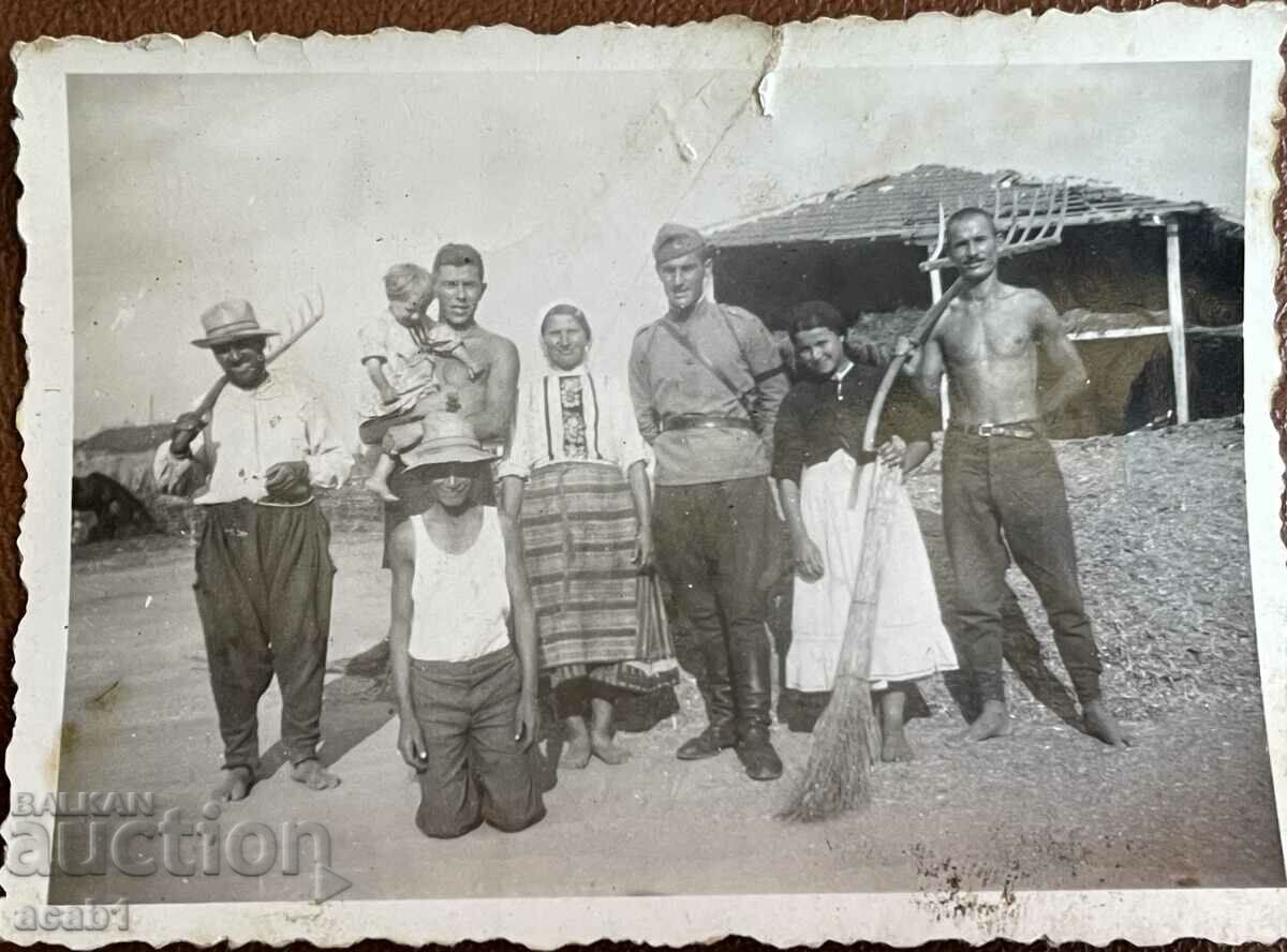 Dobruja Dobrujans with price 14.99 BGN | € 7.66 Dobruja Dobrujans with price 14.99 BGN | € 7.66