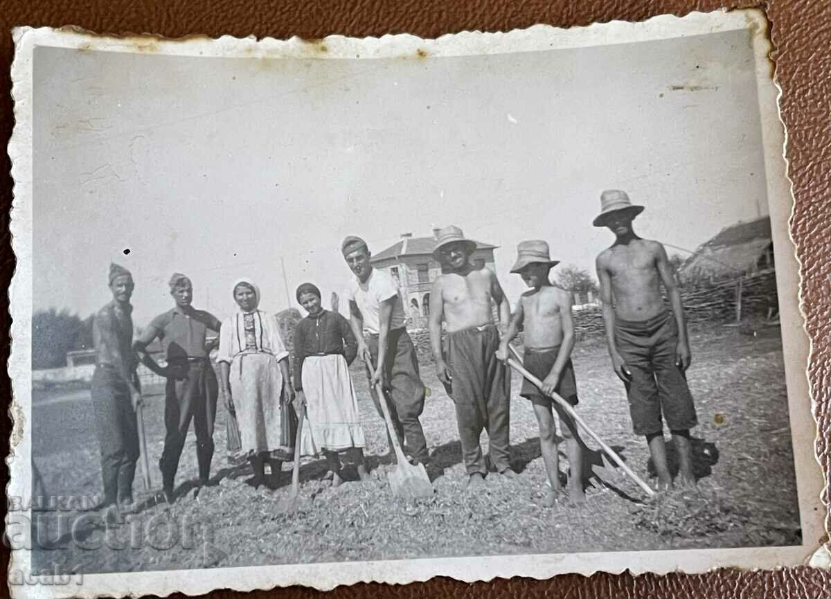 Delivery of Dobruja Dobrujans Delivery of Dobruja Dobrujans