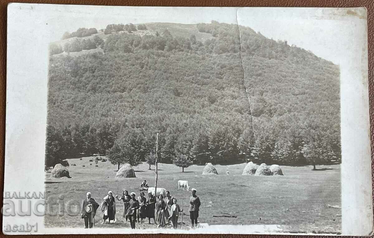 La o plimbare cu preț 5.99 BGN | € 3.06 La o plimbare cu preț 5.99 BGN | € 3.06