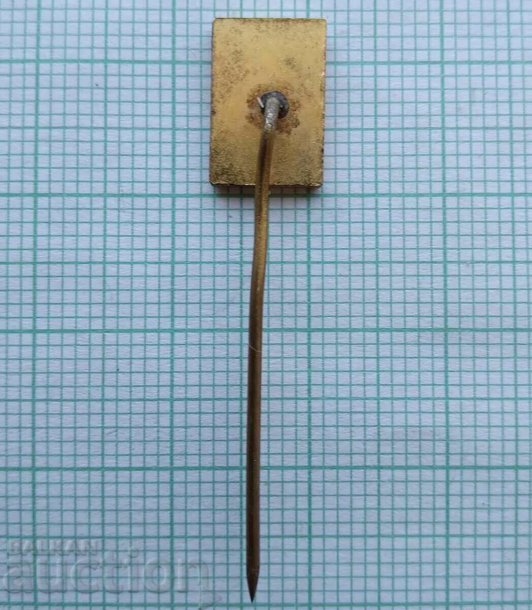 Delivery of 16670 Badge - Tournament Friendship Delivery of 16670 Badge - Tournament Friendship