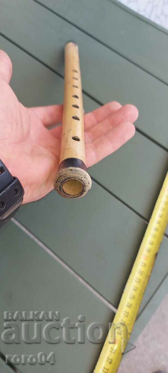 CAVAL - 7