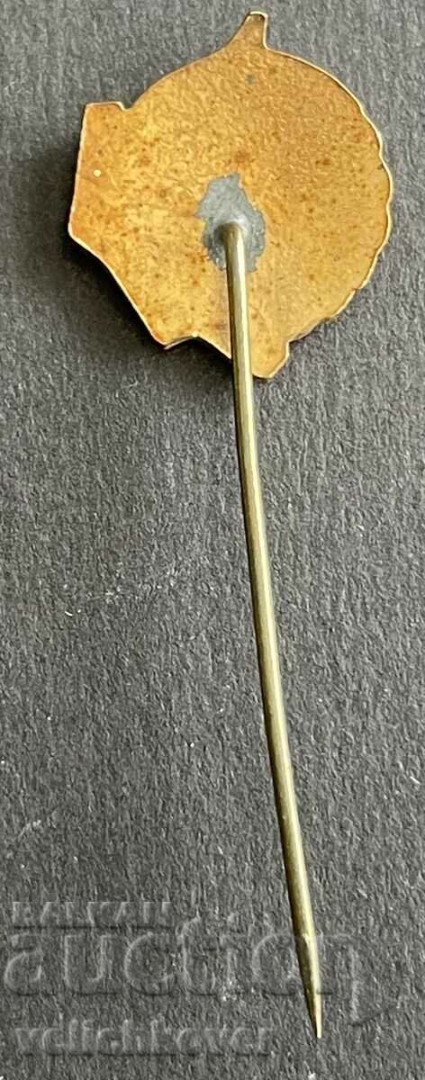 37764 Bulgaria semnează e-mailul Sindicatului Tineretului Muncitorilor RMS cu preț 8.00 BGN | € 4.09