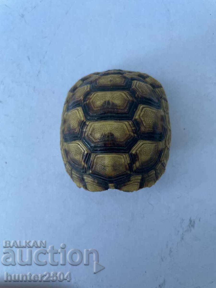 Turtle - scarf accessory, 6 cm