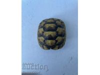 Костенурка- аксесоар за шал,6 см