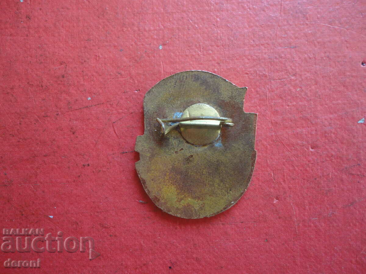 Delivery of Bronze Badge Badge Bronze Enamel Delivery of Bronze Badge Badge Bronze Enamel