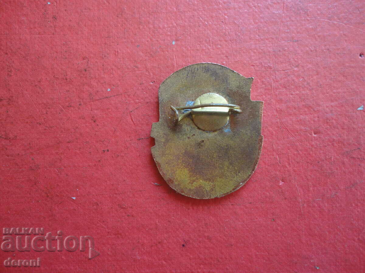 Bronze Badge Badge Bronze Enamel - 5 Bronze Badge Badge Bronze Enamel - 5