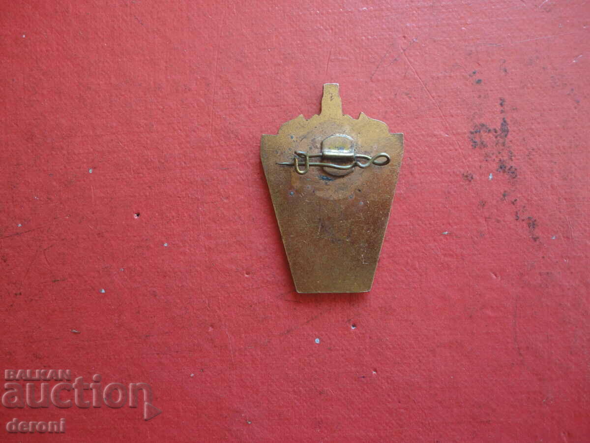 Delivery of Buchenwald Bronze Badge Badge Delivery of Buchenwald Bronze Badge Badge