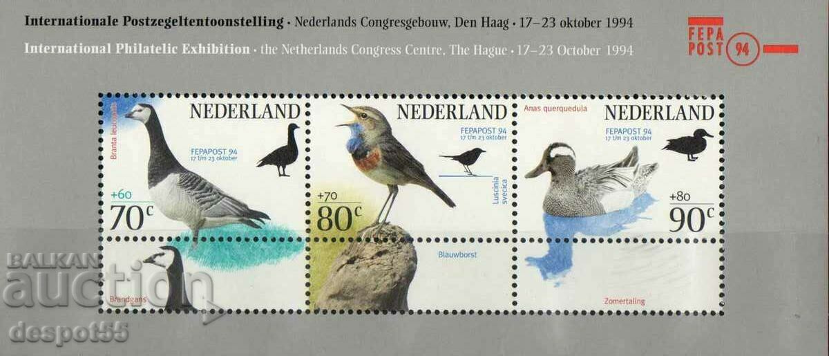 1994. Ολλανδία. Πουλιά. Μίνι μπλοκ.