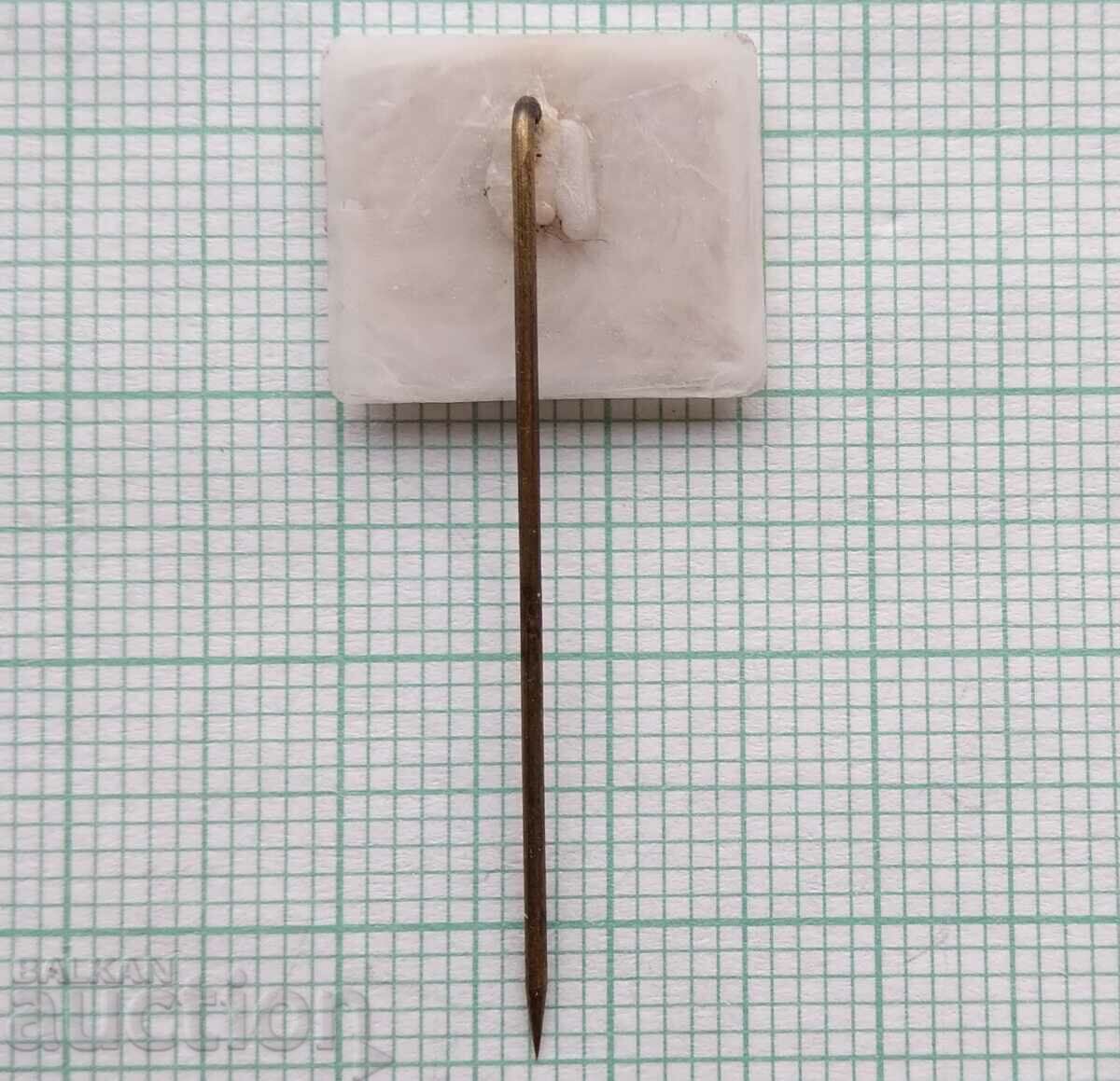 Auction 16311 Badge - National Youth 1971 Auction 16311 Badge - National Youth 1971