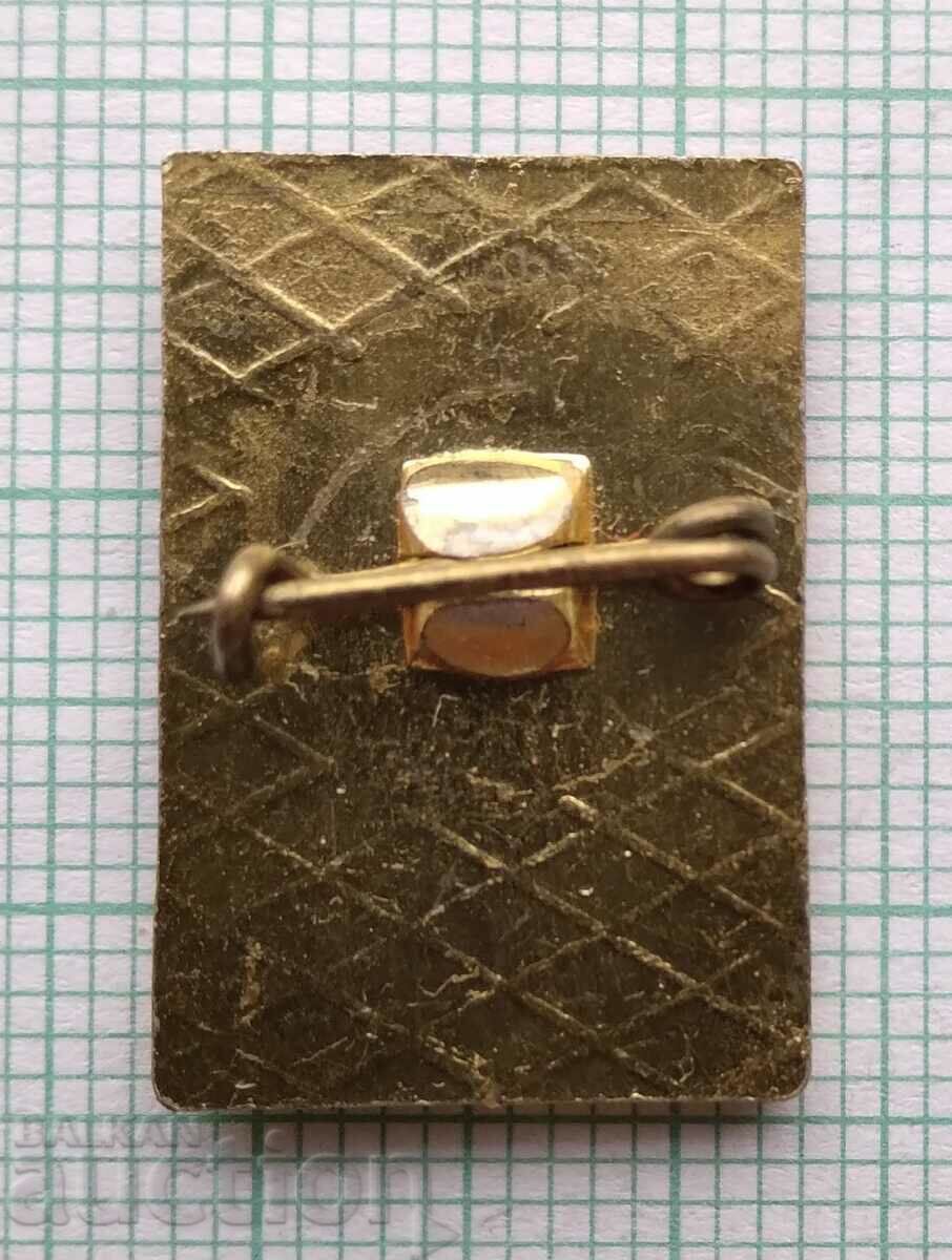 Auction 16312 Badge - Anton Popov partisan Auction 16312 Badge - Anton Popov partisan