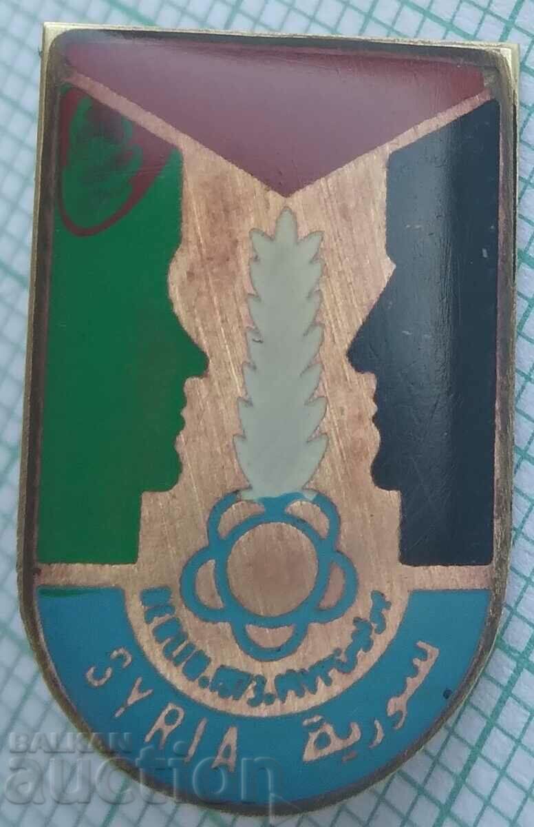 16320 Badge - Syria