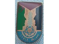 16320 Badge - Syria