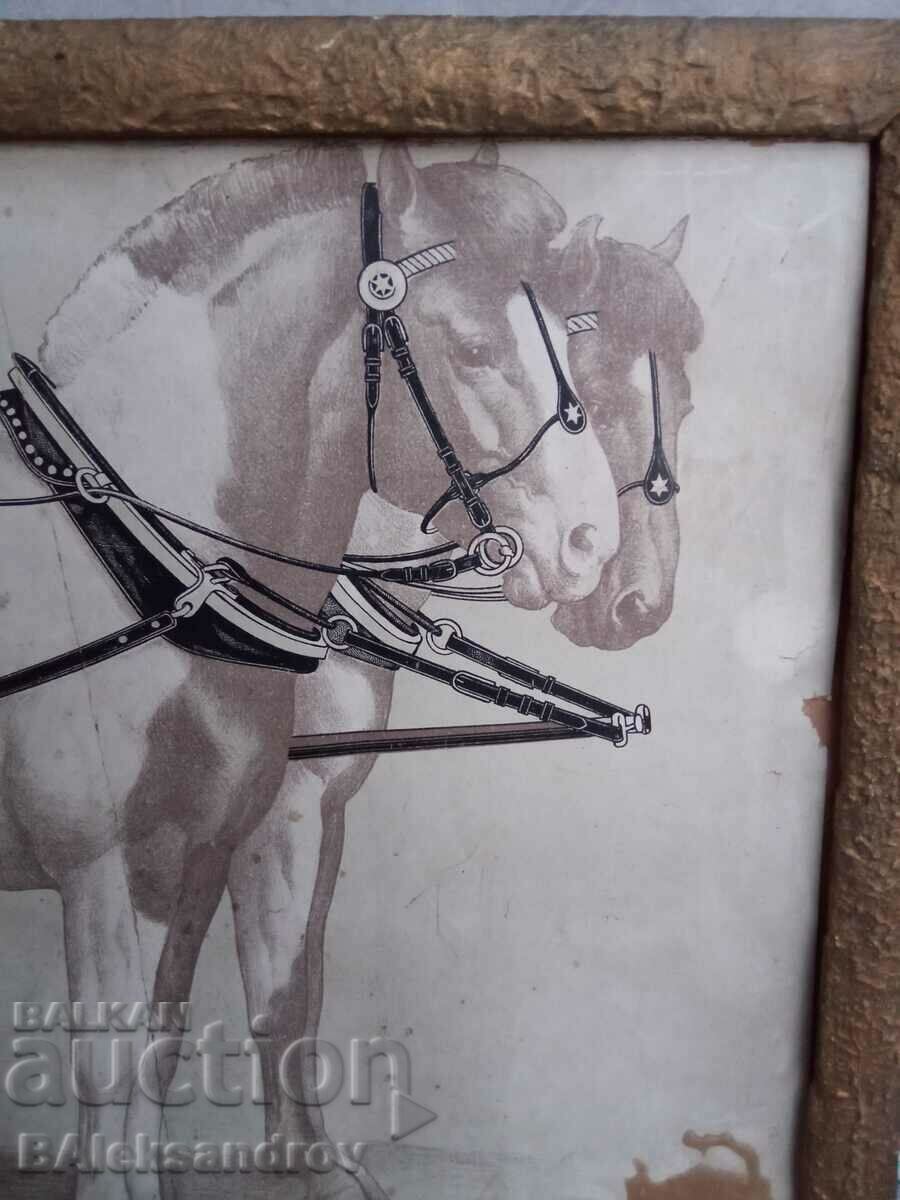 Old lithograph horses with price 12.00 BGN | € 6.14 Old lithograph horses with price 12.00 BGN | € 6.14