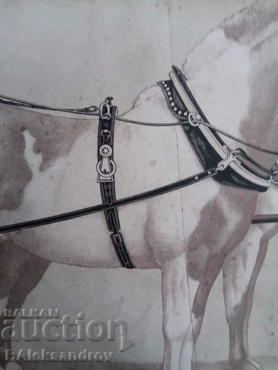 Auction Old lithograph horses Auction Old lithograph horses