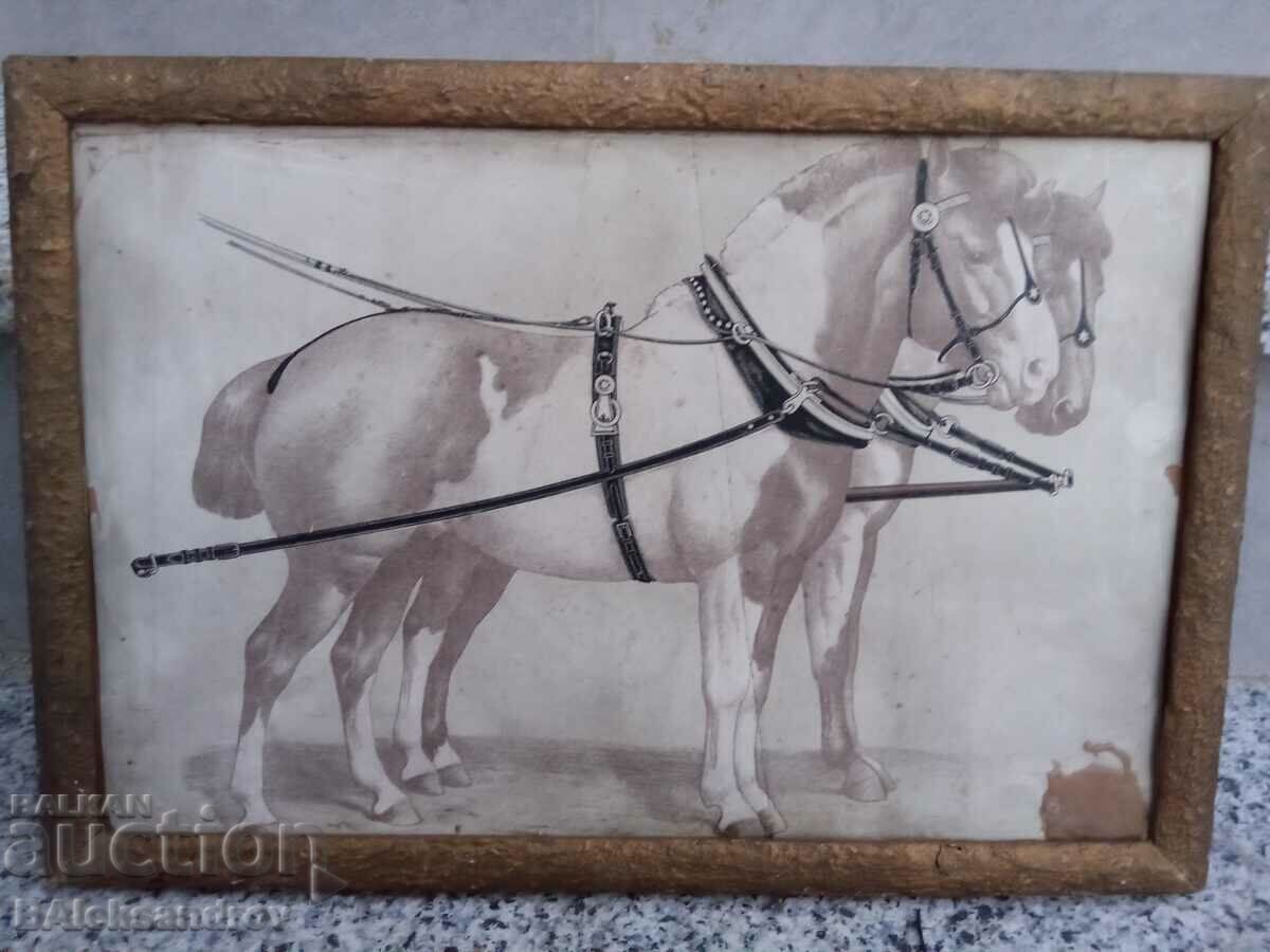 Стара литография коне