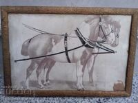 Old lithograph horses