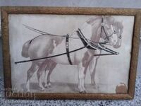 Old lithograph horses