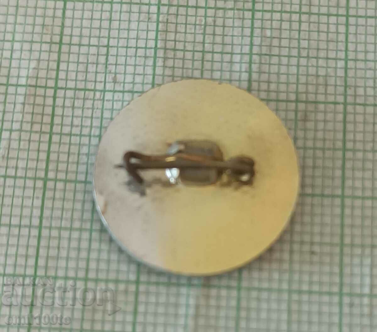 Insigna - Intercosmos - 5