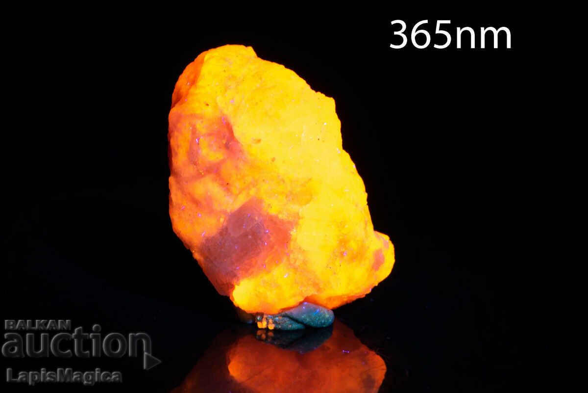 Hackmanite (Tenebrescent Sodalite) 14.4g Fluorescent #1 with price 49.00 BGN | € 25.05 Hackmanite (Tenebrescent Sodalite) 14.4g Fluorescent #1 with price 49.00 BGN | € 25.05