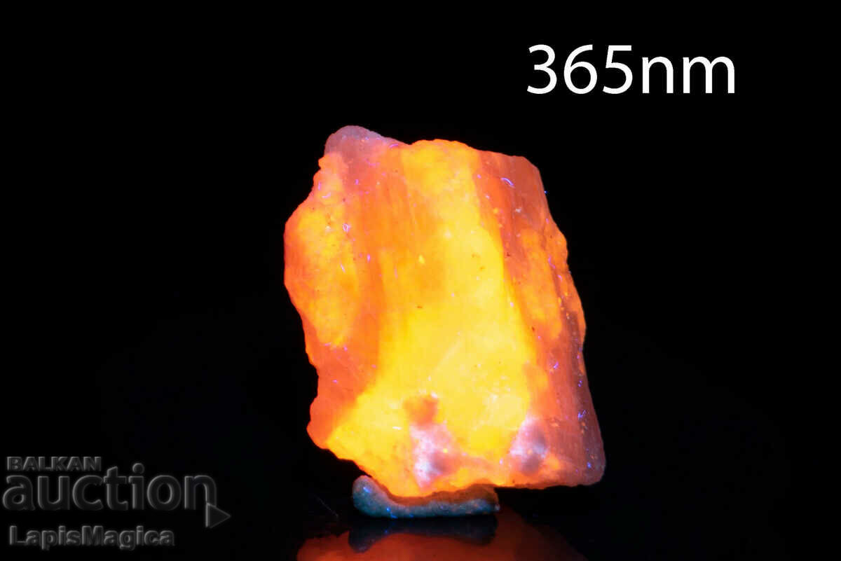 Hackmanite (Tenebrescent Sodalite) 9.4g Fluorescent #7 with price 33.00 BGN | € 16.87 Hackmanite (Tenebrescent Sodalite) 9.4g Fluorescent #7 with price 33.00 BGN | € 16.87