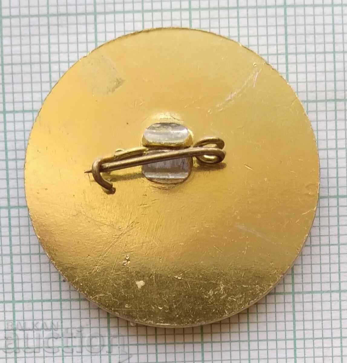 Auction 16337 Badge - European Ski Cup Borovets 1982 Auction 16337 Badge - European Ski Cup Borovets 1982