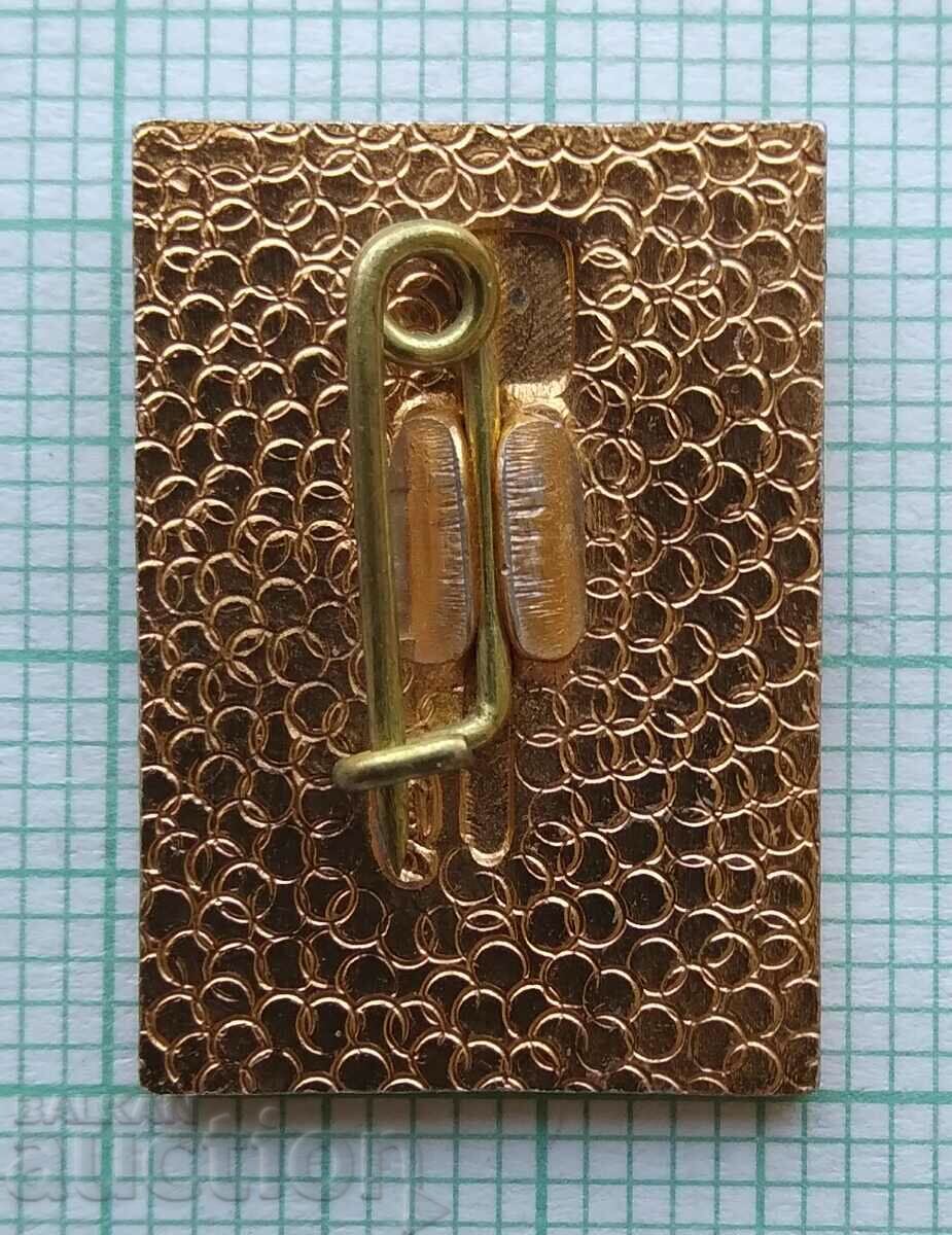 Auction  16338 Badge - Belarusian Friendship Society