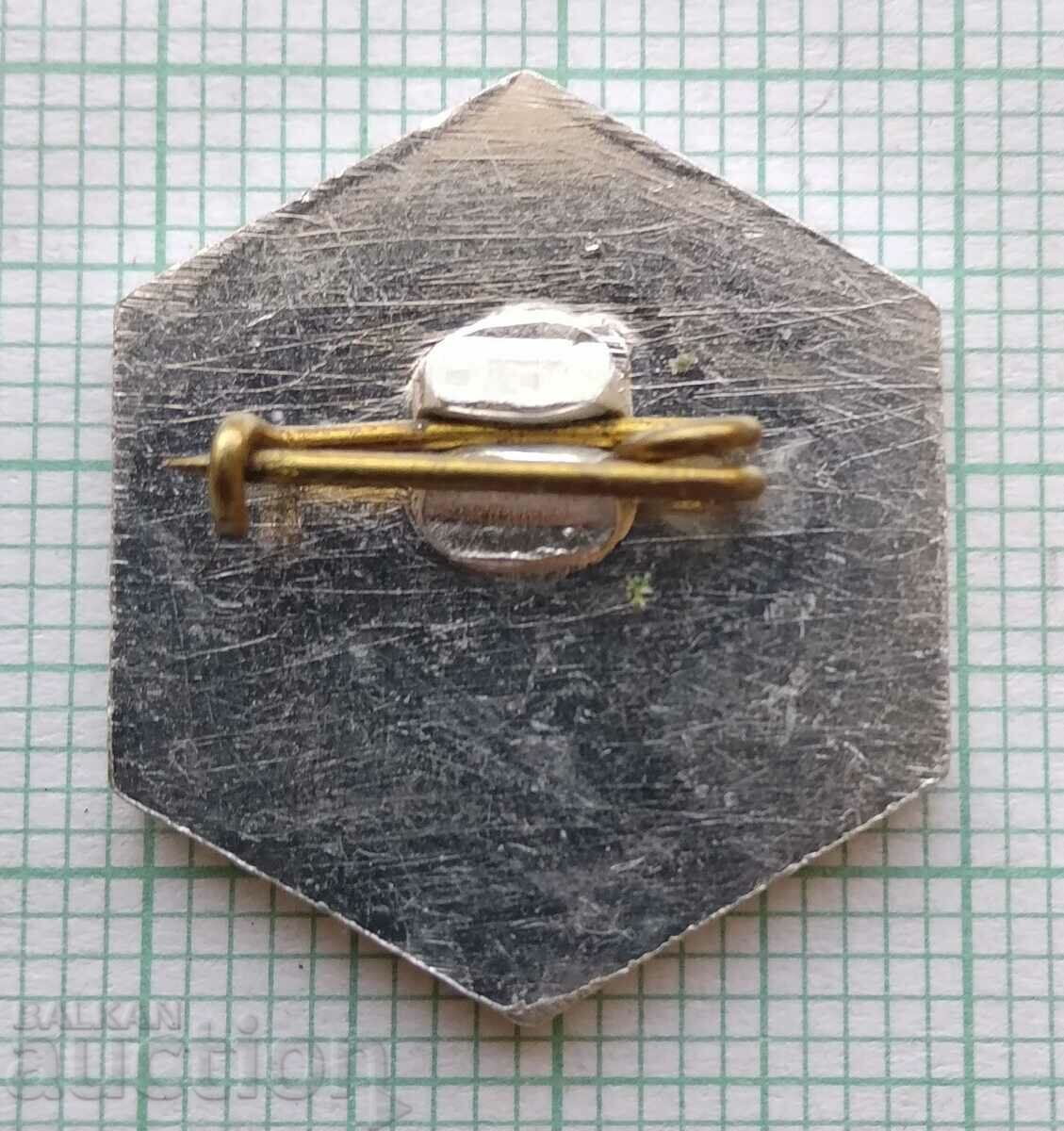 Auction 16341 Badge - Ski Skier Descent Auction 16341 Badge - Ski Skier Descent