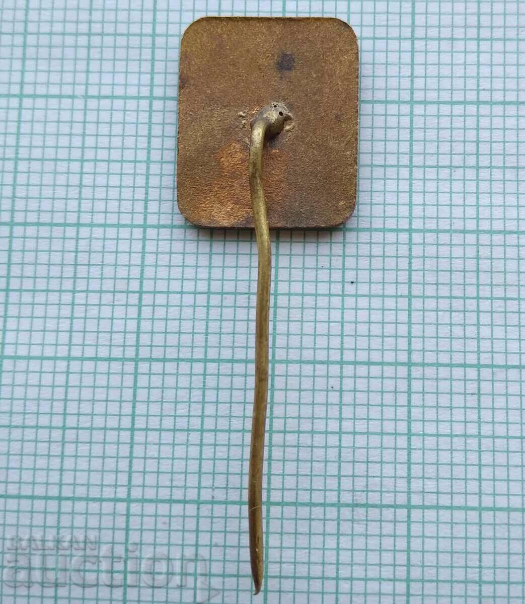 Auction 16351 Badge - Youth cross CM Rodina Auction 16351 Badge - Youth cross CM Rodina