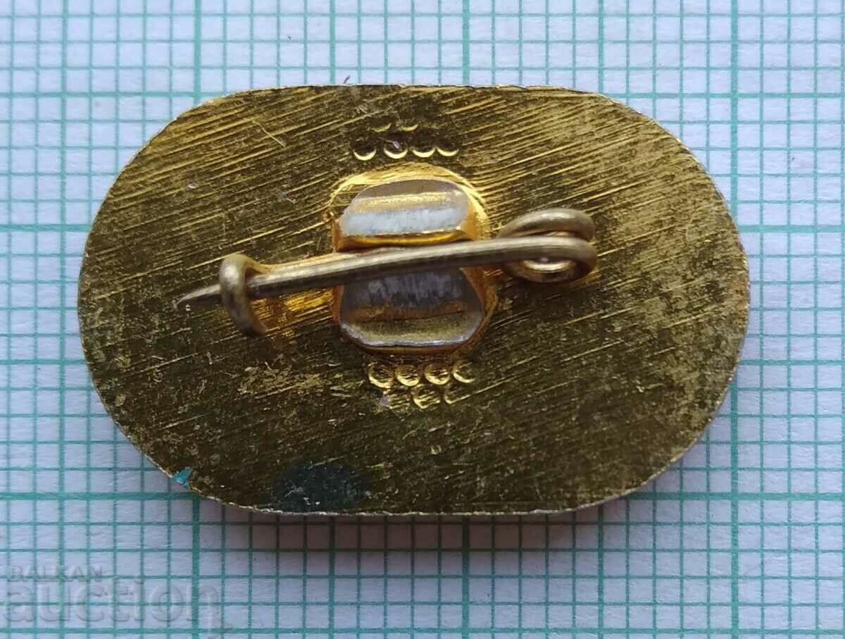 Auction  16367 Badge - District Spartakiad Pleven