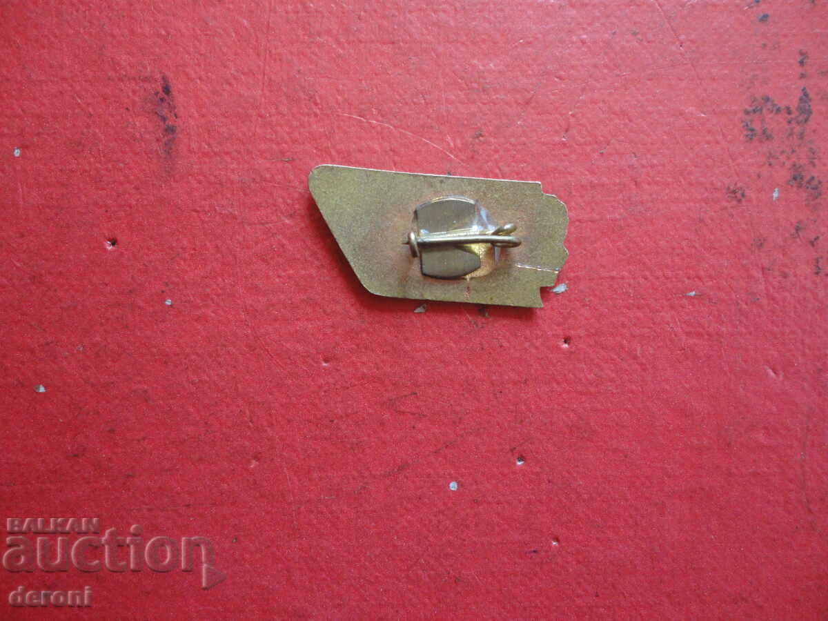 Delivery of Sign badge March 8 women's march bronze enamel Delivery of Sign badge March 8 women's march bronze enamel