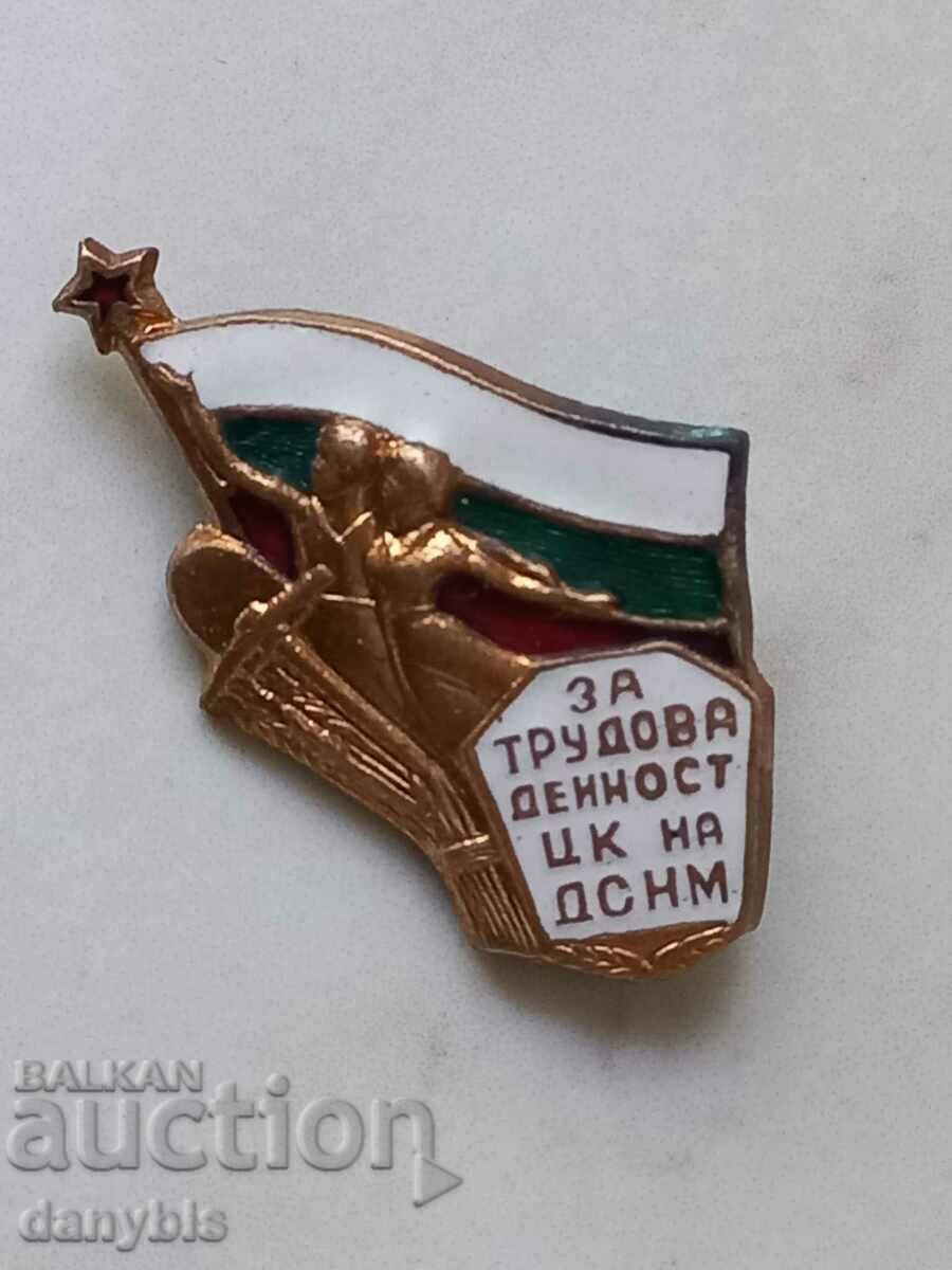 Badge - For labor activity Central Committee of DSNM-Email
